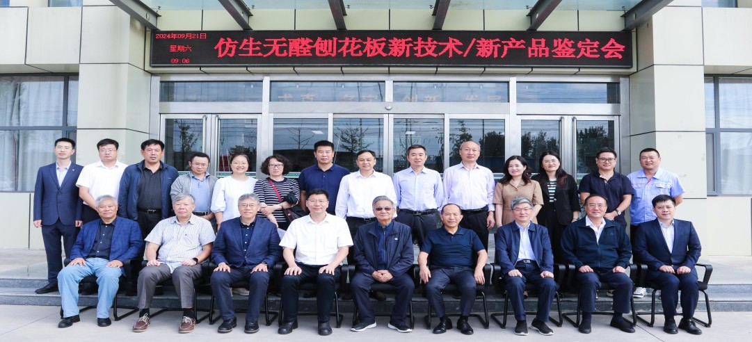 重磅！新港集團(tuán)和東北林業(yè)大學(xué)共同研發(fā)的仿生無(wú)醛刨花板新技術(shù)/新產(chǎn)品通過(guò)4項(xiàng)“國(guó)際領(lǐng)先”水平鑒定!