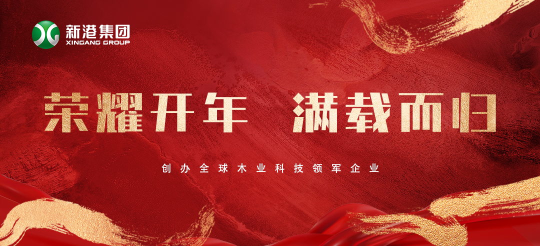 2025喜訊頻傳！新港集團(tuán)榮膺多項(xiàng)大獎(jiǎng)，再獲行業(yè)認(rèn)可！